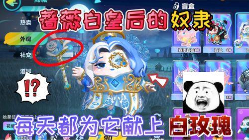 白皇后在线观看,穿越奇幻世界的神秘之旅